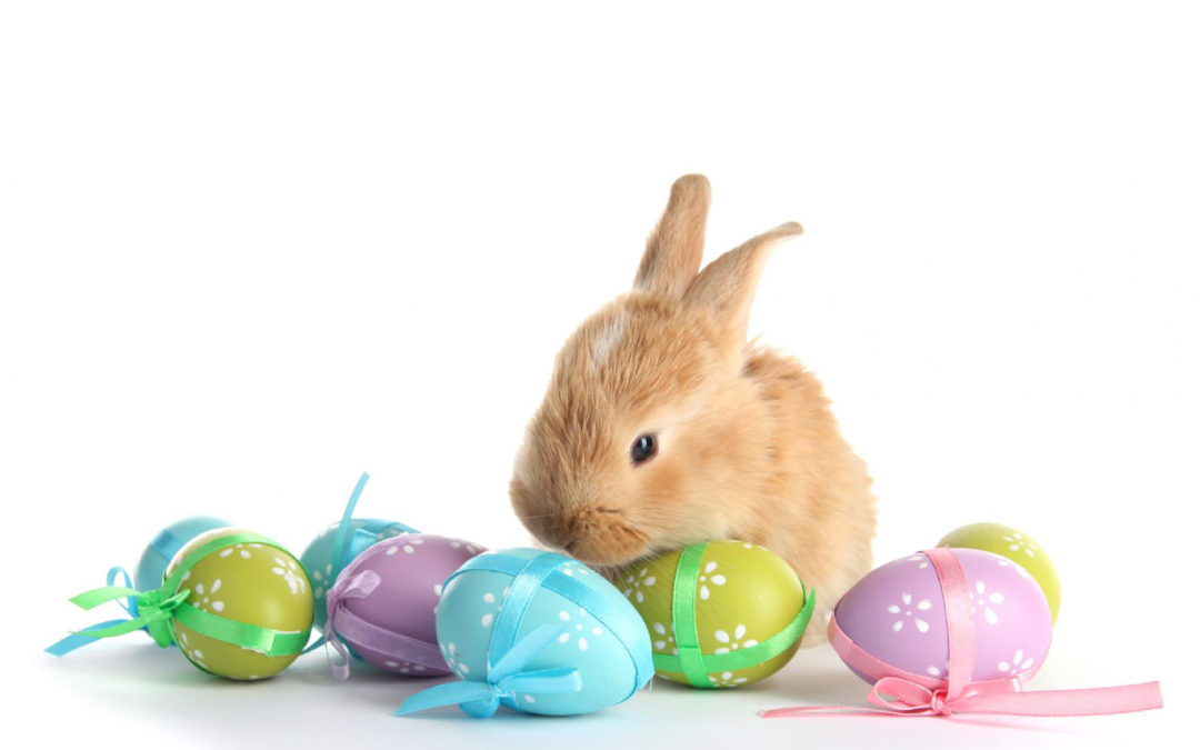Pâques: fermeture du vendredi 2 au lundi 5 avril