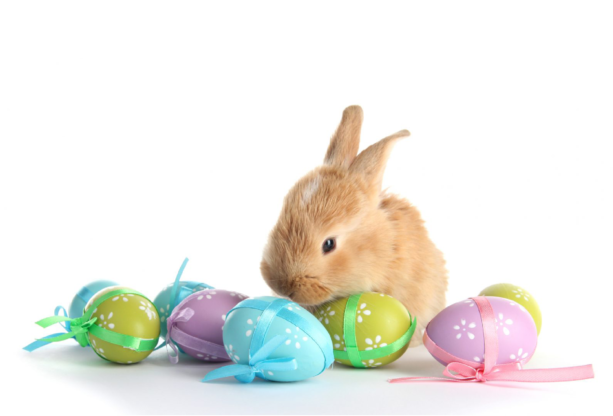 Pâques: fermeture du vendredi 2 au lundi 5 avril