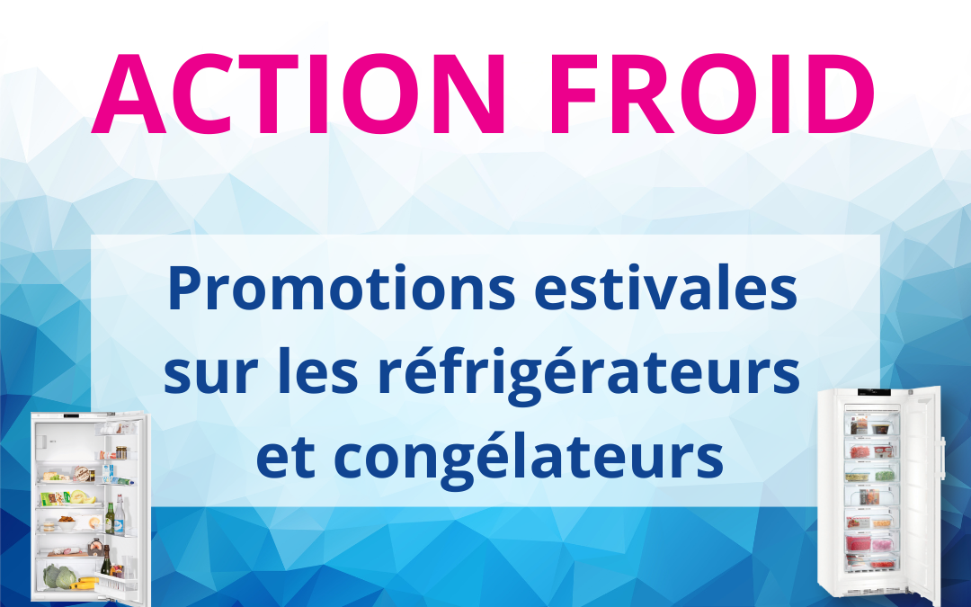 Promos sur les frigos et congélos